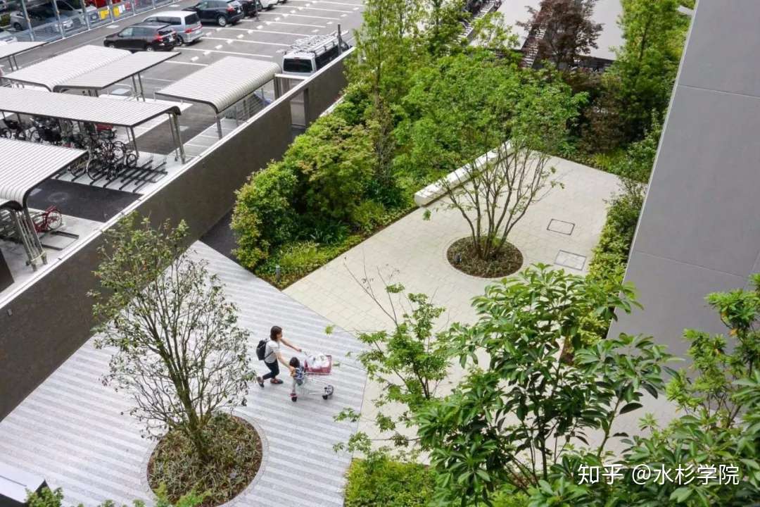 水杉学院 专栏篇 五 居住区绿地植物配置 知乎
