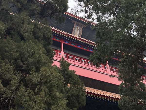 Healer 的想法: 曲阜三孔 | 和室友去了孔府和孔庙，没有… - 知乎
