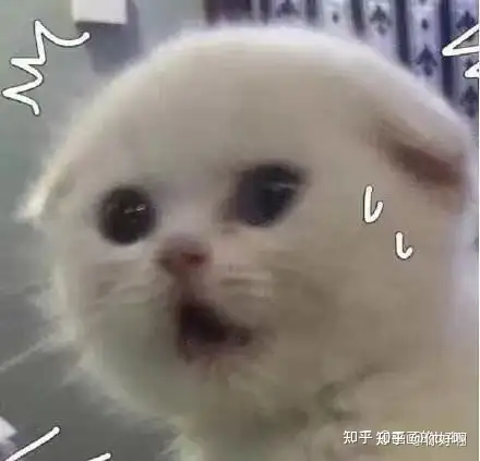 买飞机杯推荐哪款2022年热门飞机杯推荐,如何选购飞机杯,免交智商税