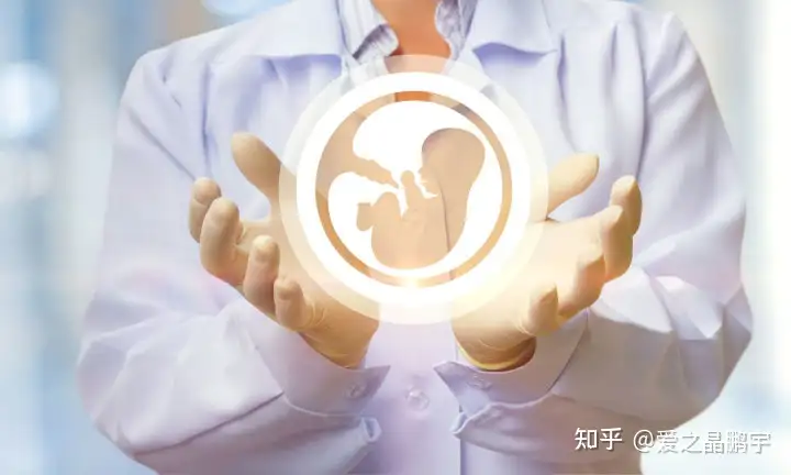 供卵机构（一篇读懂）