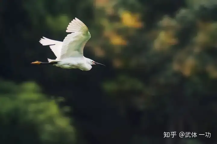 【一功分享】王维最美10首绝句，字字珠玑，首首如画(王维经典诗词)