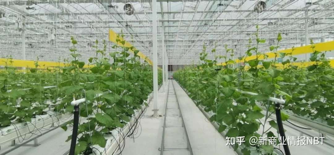 海尔卡奥斯 如何用工业的方式服务农业 知乎