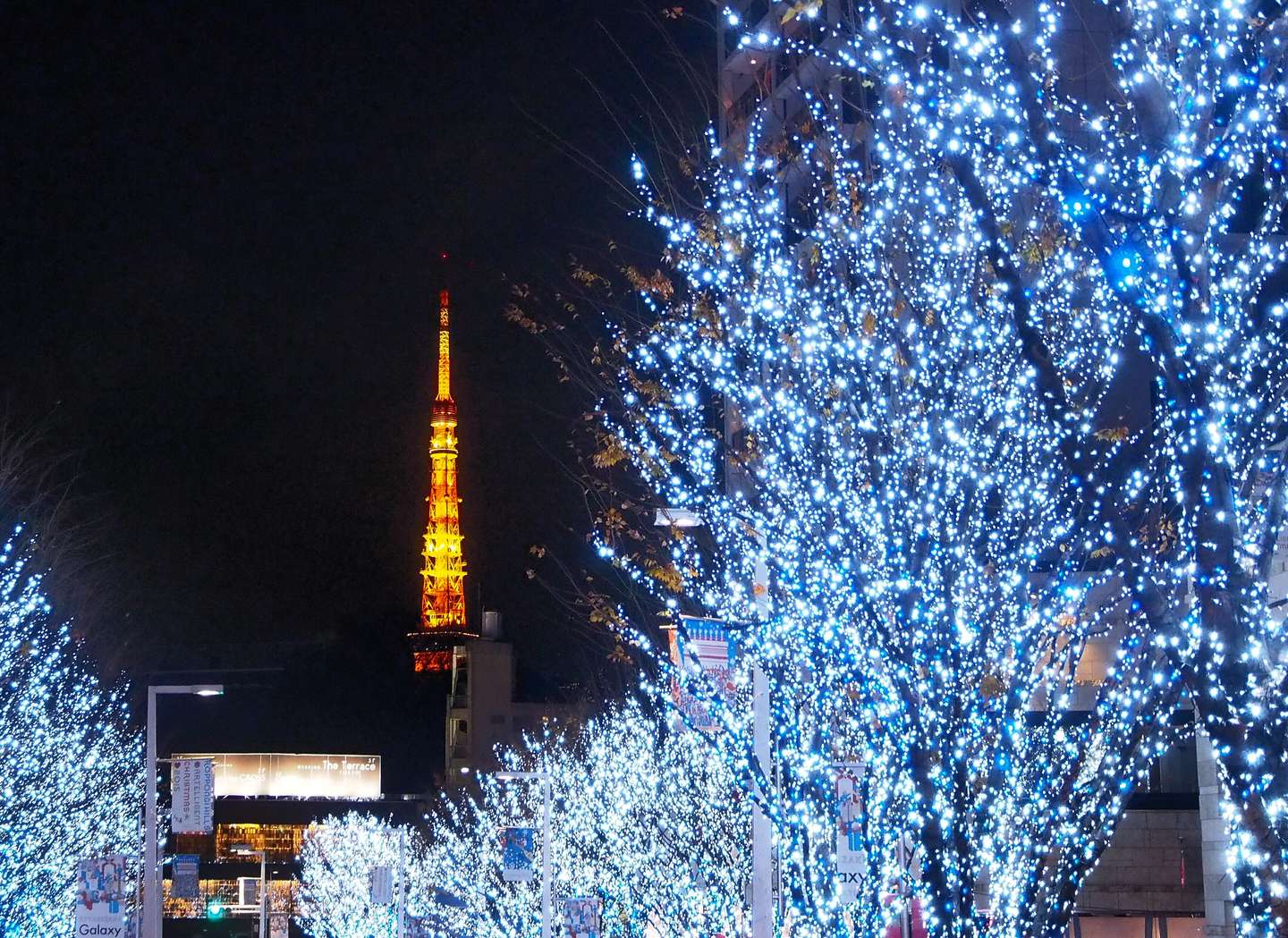 迷失东京 不能错过的迷人夜景 知乎