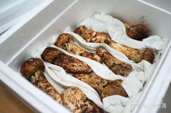 松茸之美 不可辜负 知乎