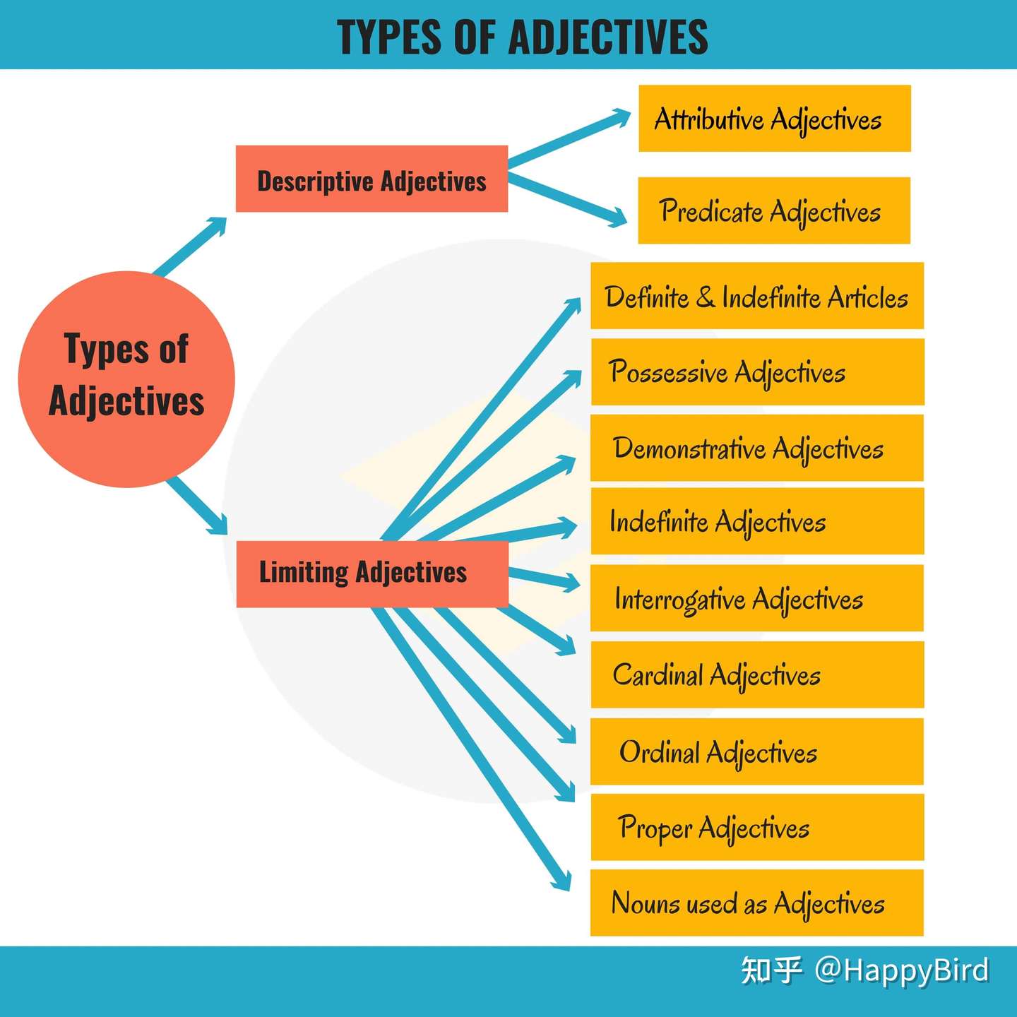 英语语法基础 形容词的种类 Types Of Adjectives 知乎