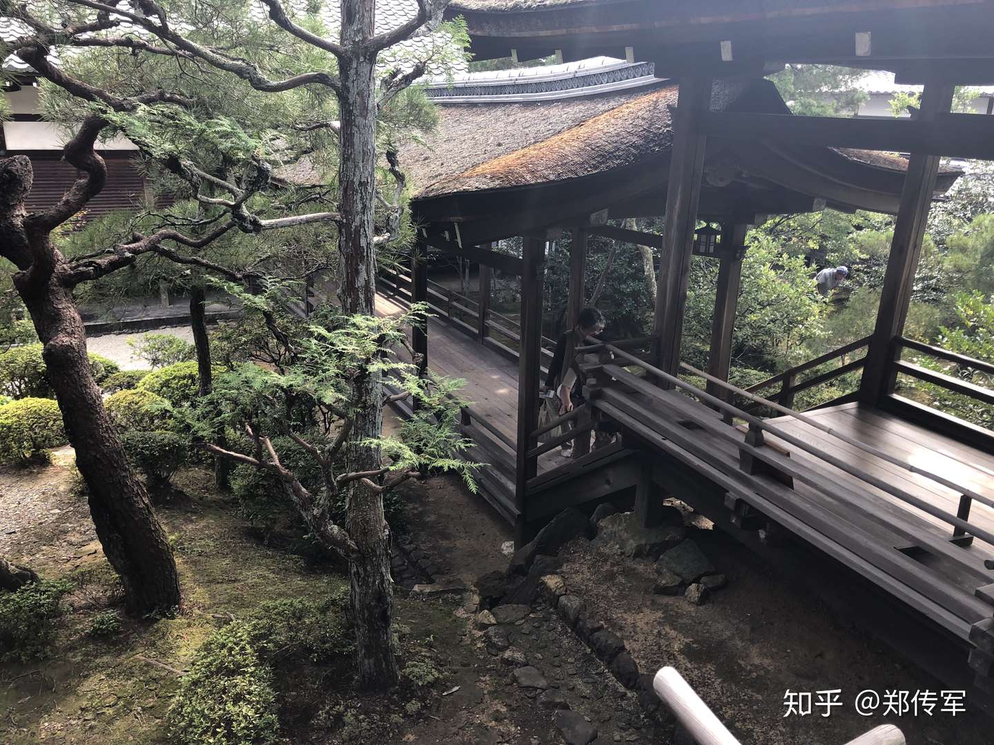 天皇家的仁和寺 京都游记 知乎