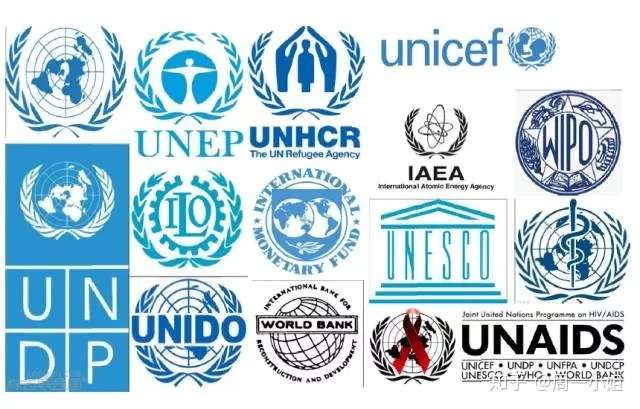 在联合国机构或其他国际组织实习或工作是怎样的体验?