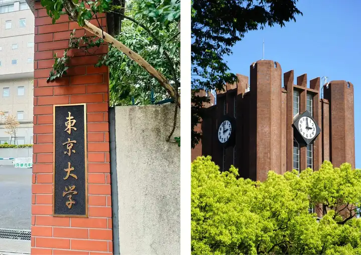 请输入图片描述