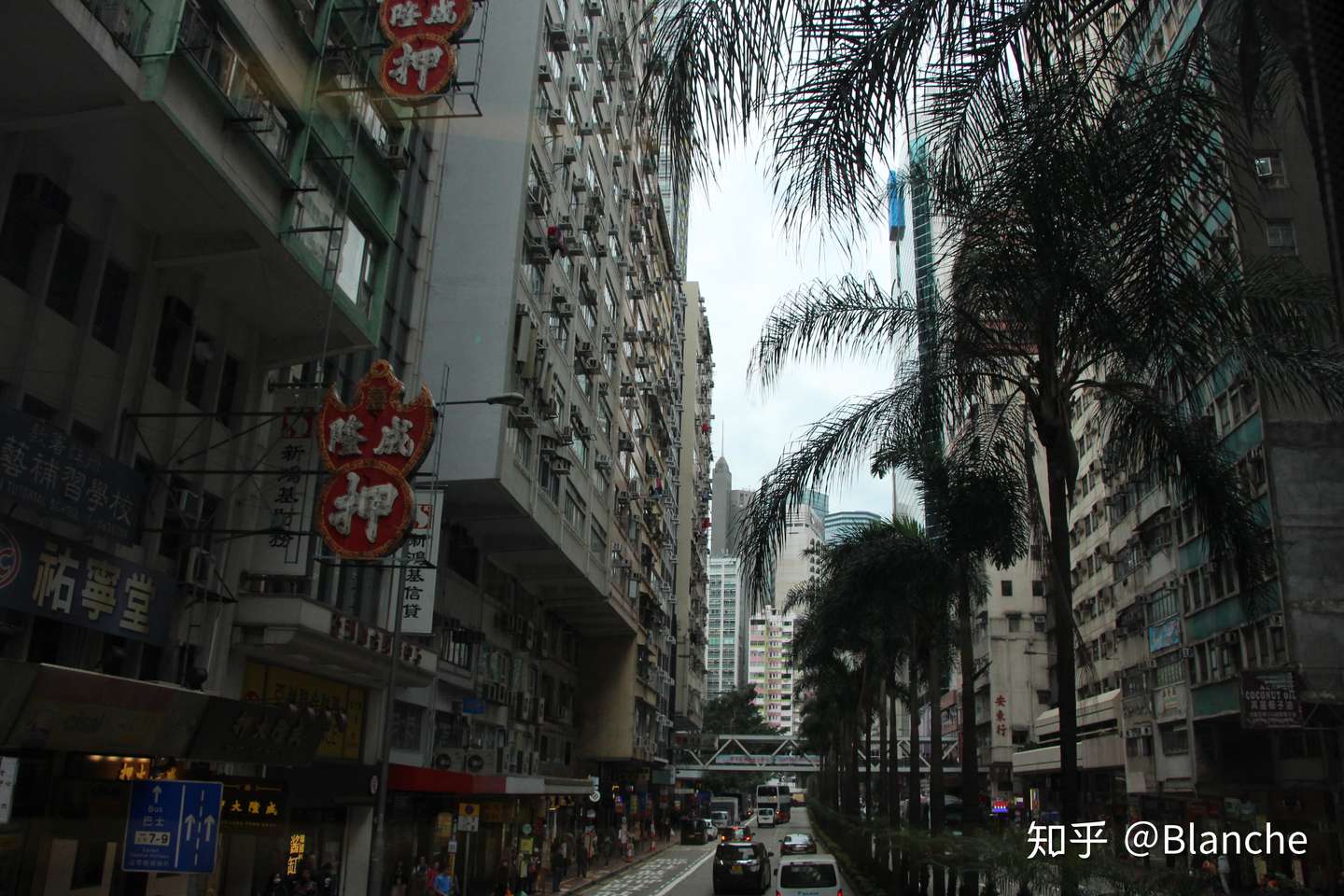 一个叫澈的叔叔和她的圆 在港五日游记 知乎