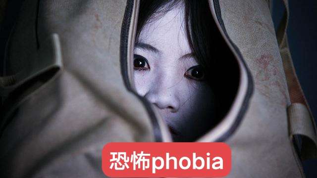 心理管理商业咨询 的想法: 恐怖(phobia) | 恐怖(phobia)的患者