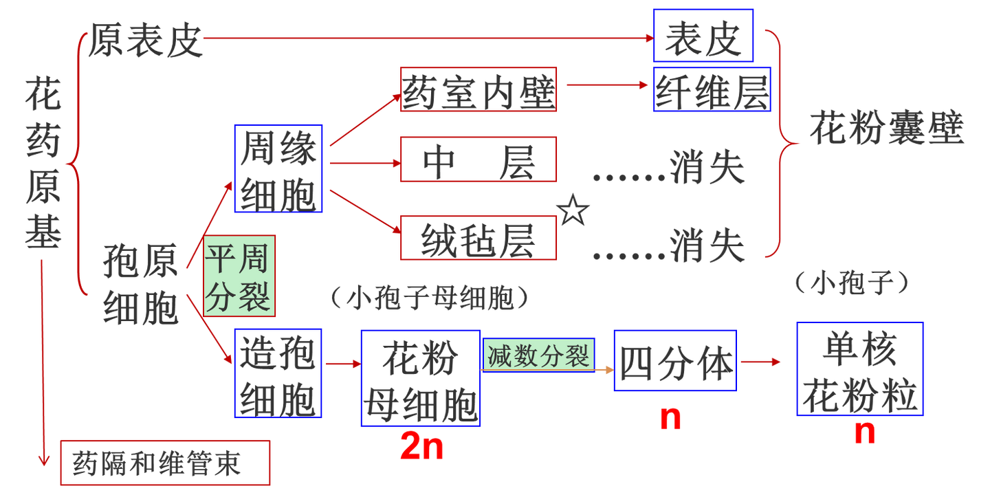 植物学期末复习植物生理部分 光合不全 知乎