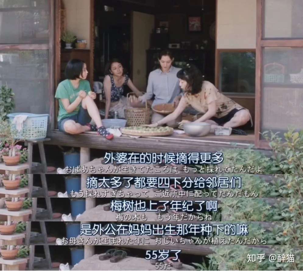 日本人为什么如此喜爱 梅酒 知乎