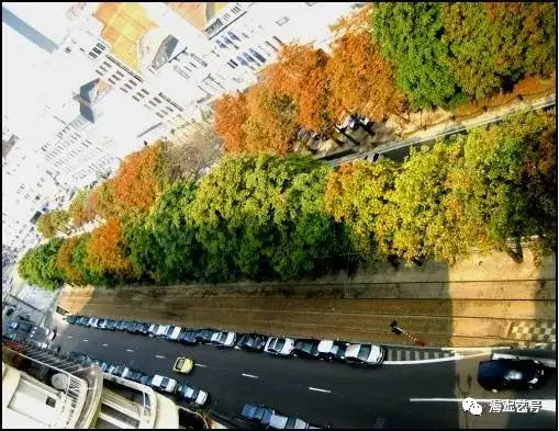 详解|城市道路绿地景观设计