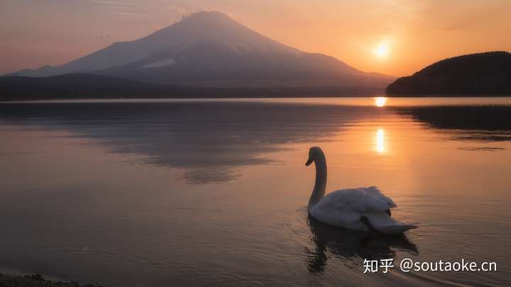 抖音频繁发作品会被限流吗?抖音限流应该如何处理 抖音频繁发作品会被限流吗?抖音限流应该如何处理