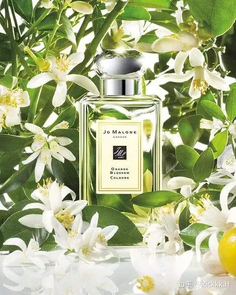 香评：Jo Malone - Orange Blossom | 祖马龙- 橙花- 知乎