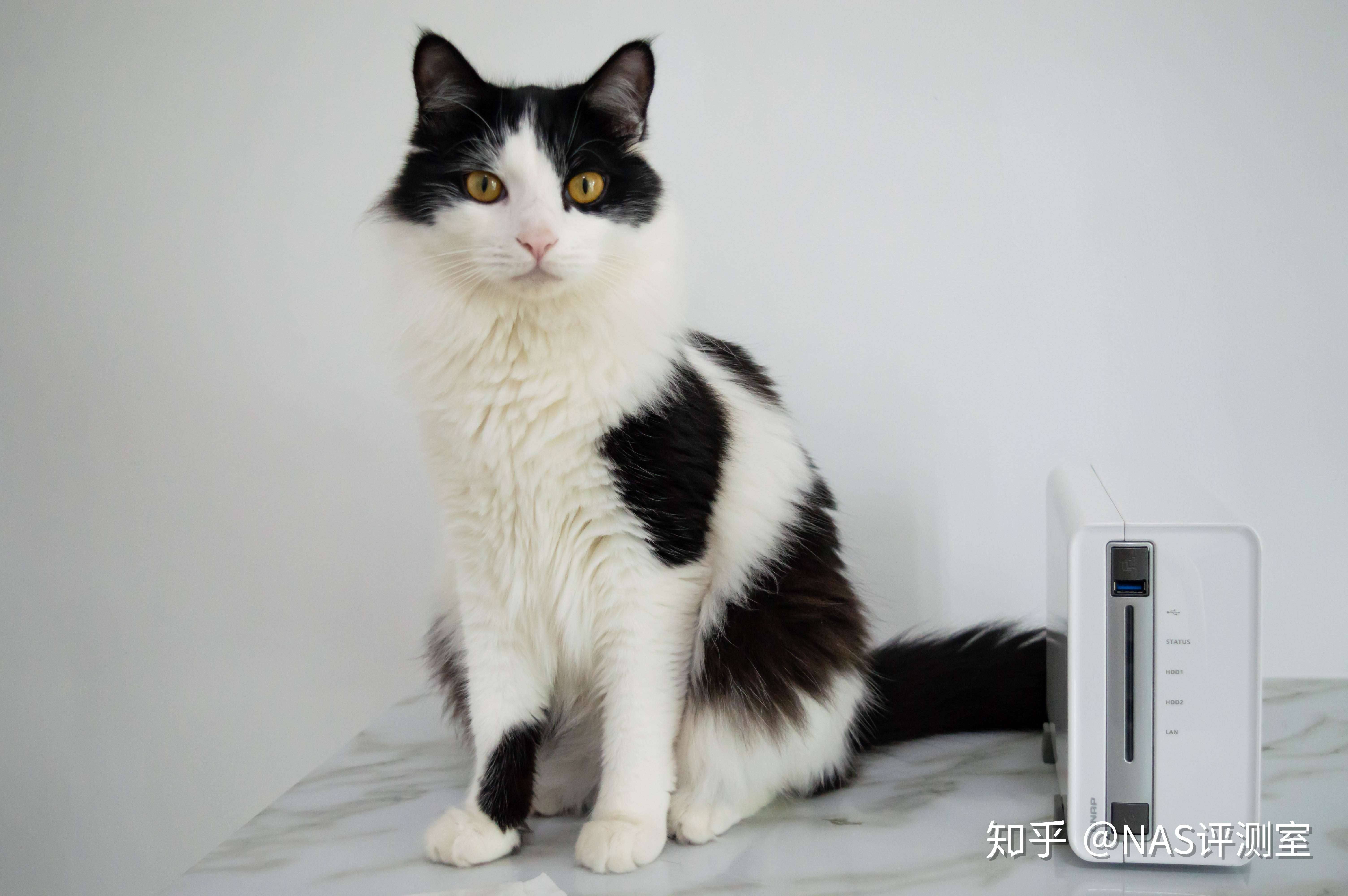 加勒比考斯 的想法: 威联通的销量王,这台ts-212p3看起来还行? - 知乎