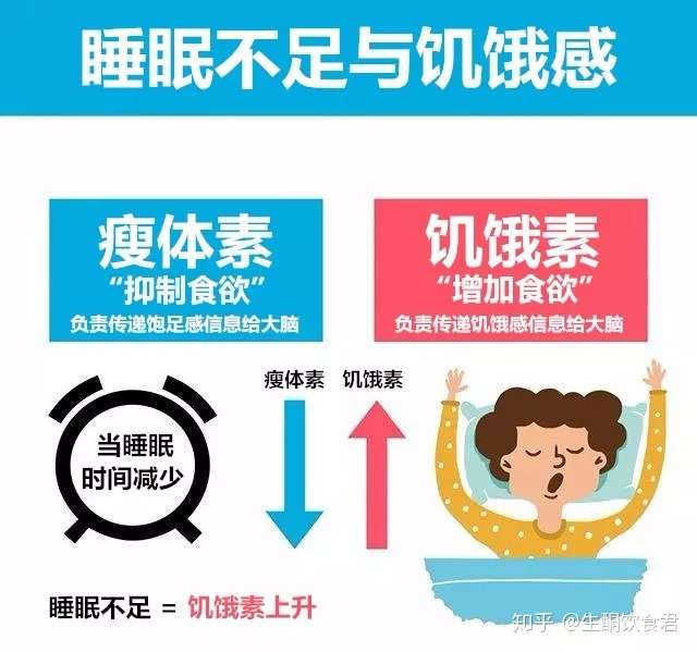 睡眠不足会影响我们的减脂和增肌吗 知乎