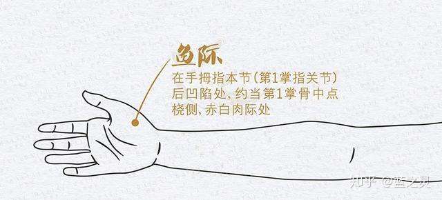 赞同了该文章 咽喉肿痛 肺通过咽喉完成呼吸功能,如果肺热或肺火上炎