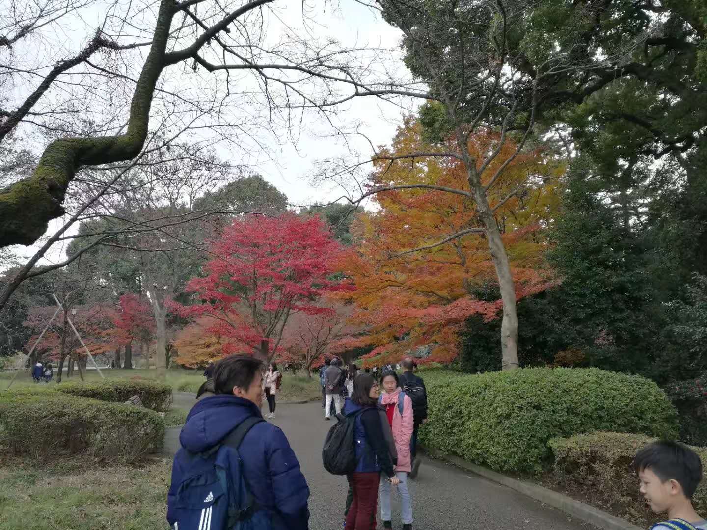 死宅东京暴走游记 知乎