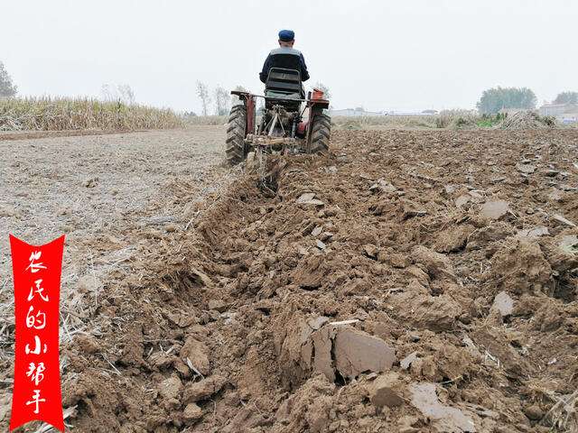 需要整地后才能播种,在实际种植过程中,整地方式一般有2种,第一是犁耕