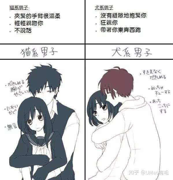 什么 爱猫的我竟然是犬系的 知乎
