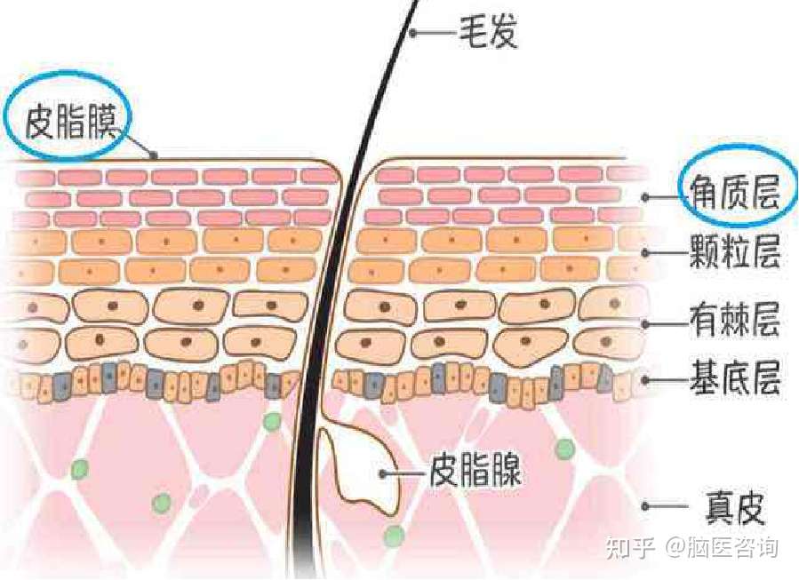 洗澡究竟会不会令伤口感染呢 知乎