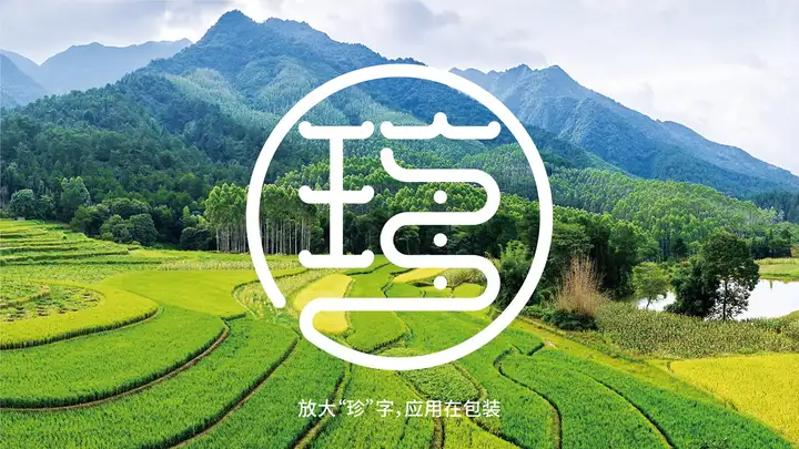 战略破局点在哪儿？品牌如何增长？产品如何打造？