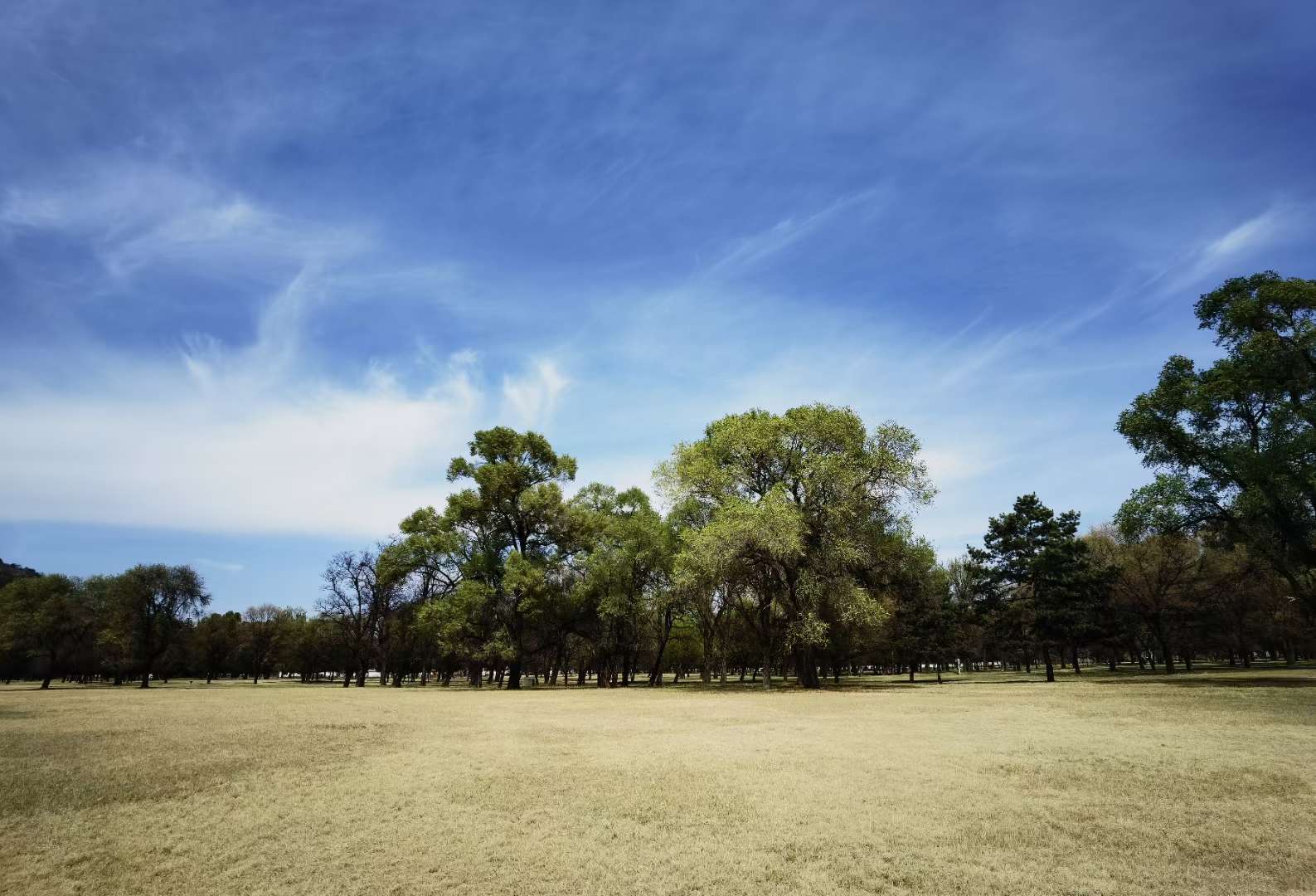 安安 的想法: 世界上唯一能够不劳而获的就是贫穷, 唯… - 知乎