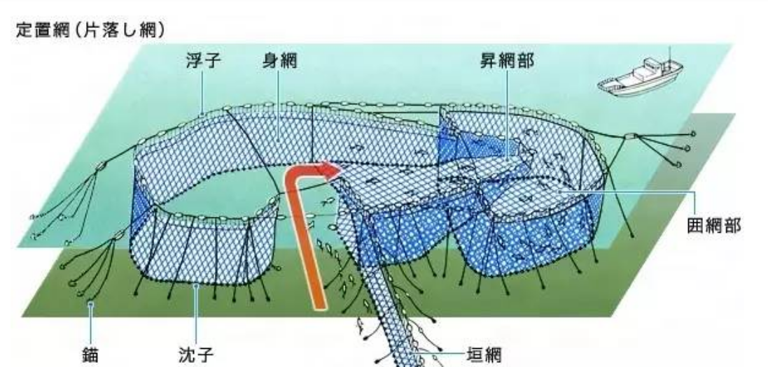 硬干货 金枪鱼系统捕捞方法篇 知乎