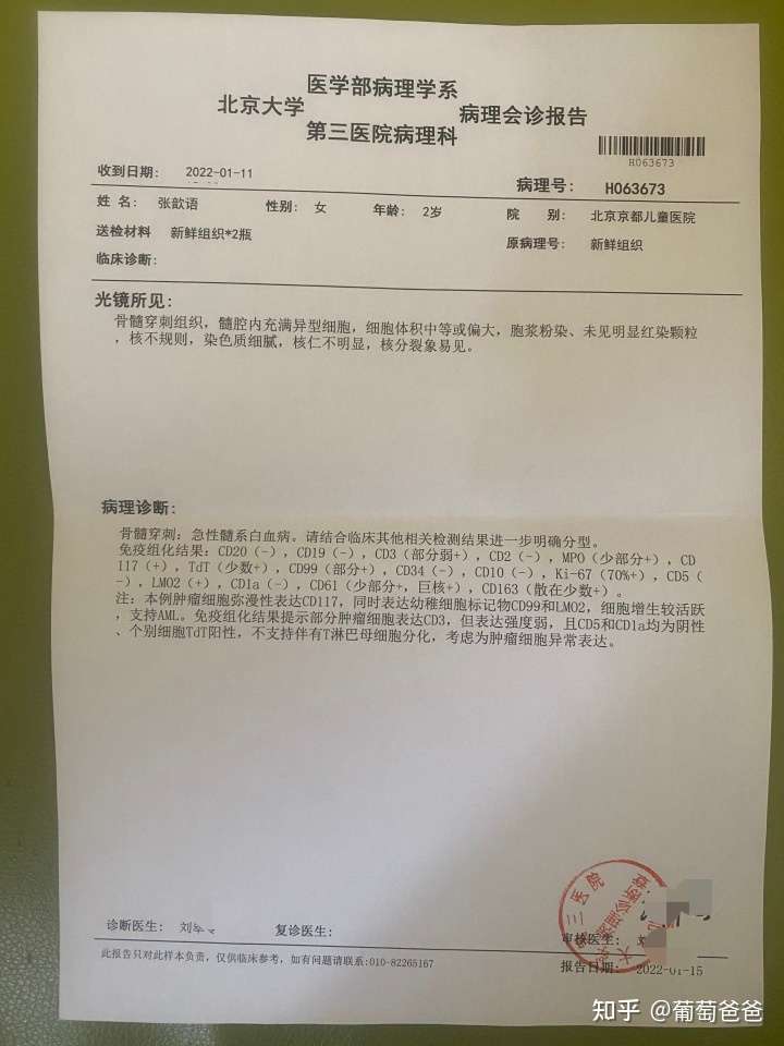 白血病确诊的心酸血泪史这篇文章会不定时更新白血病治疗的过程以及我个人总结的心得 也希望病友们多评论交流 知乎