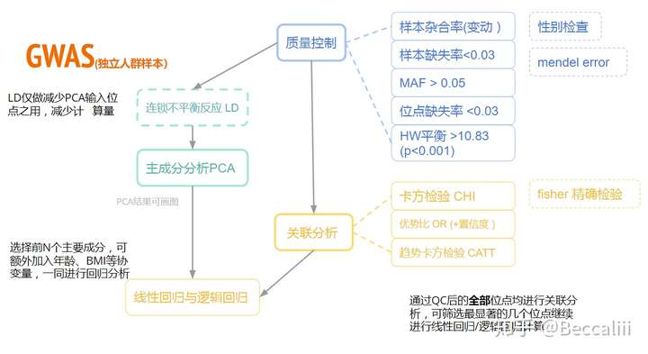 GWAS 粗略流程圖