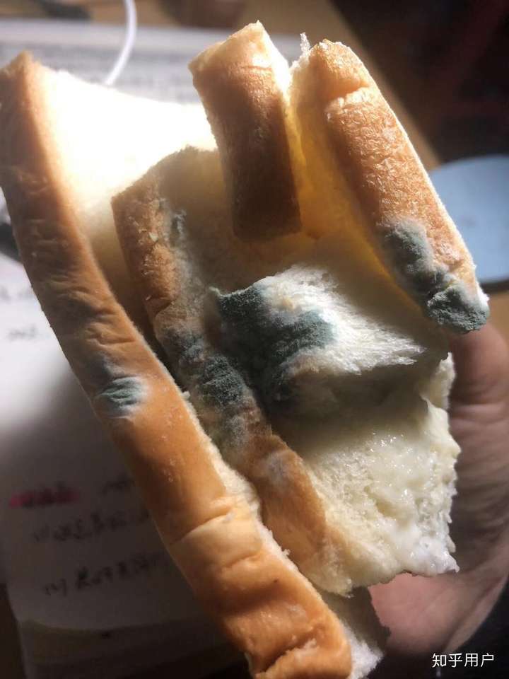 紫米面包是不是可以放置在空气中直到保质期过了才变质?