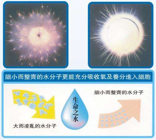 广州大分子团水检测小分子团水检测机构