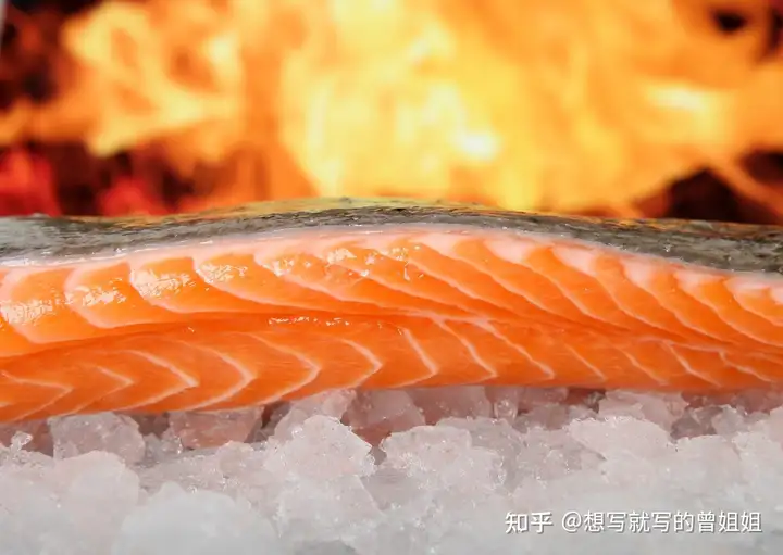 速看(三文鱼餐)三文鱼食谱2023已更新 第5张