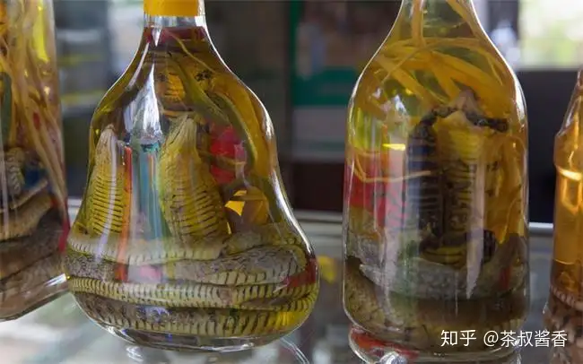 这些令人毛骨悚然的动物泡酒你看过吗 这酒真有功效 知乎
