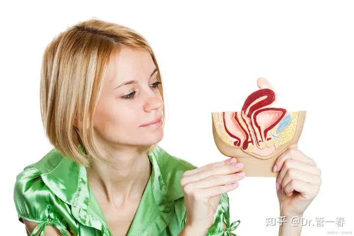 上海三大助孕公司费用（一篇文章带你了解人工授精助孕流程）