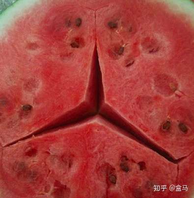 为什么几乎每颗西瓜中间都有个奔驰车标?