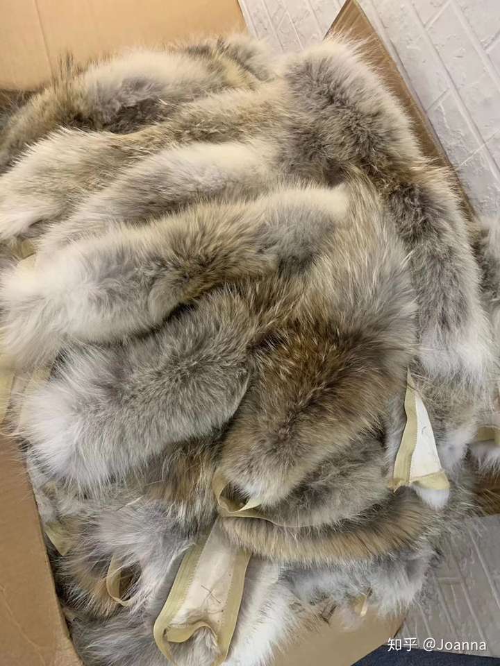 这是真的狼毛嘛?