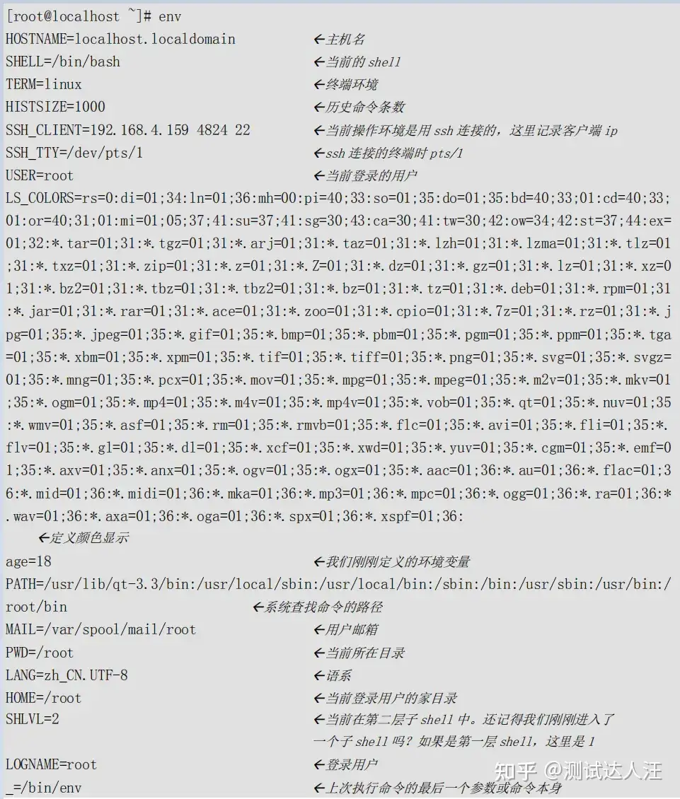 Shell基础 环境变量全套 知乎