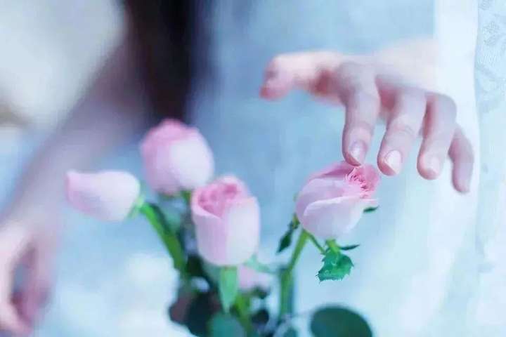 善良，是一种远见