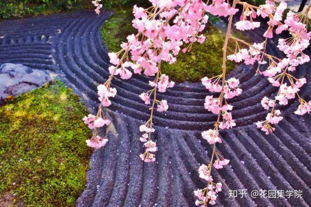 看世界 日本个经典枯山水庭院 带你感受日式庭院经典之美 知乎