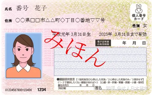 达人日本,日本留学