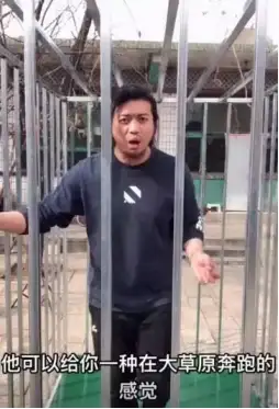 《我和我的家乡》影评：用最幽默的手法，演绎最感人的故事（涉及剧透）(我和我的家乡优质影评)