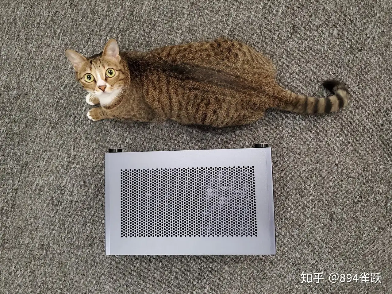 跟猫一样大的8.6L小钢炮ITX(更新散热) - 知乎