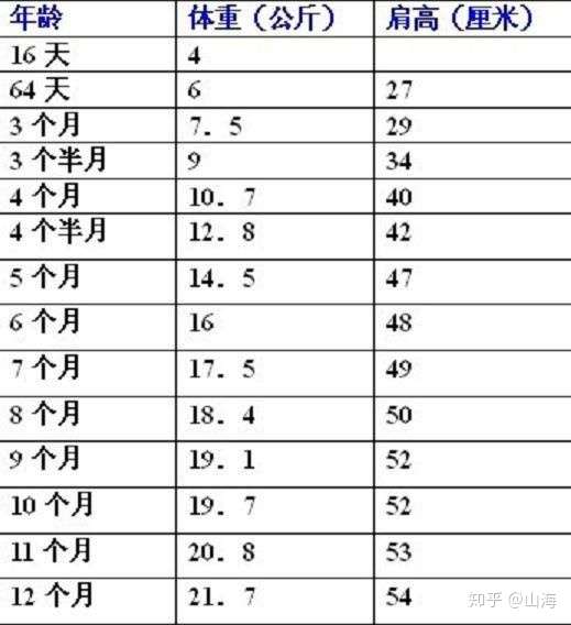 金毛犬身高体重标准表图片