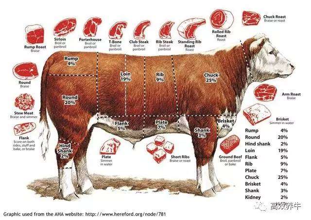 牛排 牛肉各部位名称图解 知乎