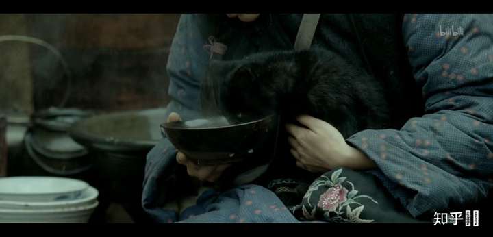 电影《一九四二》 财主家的闺女在逃荒途中喂自己的宠物猫