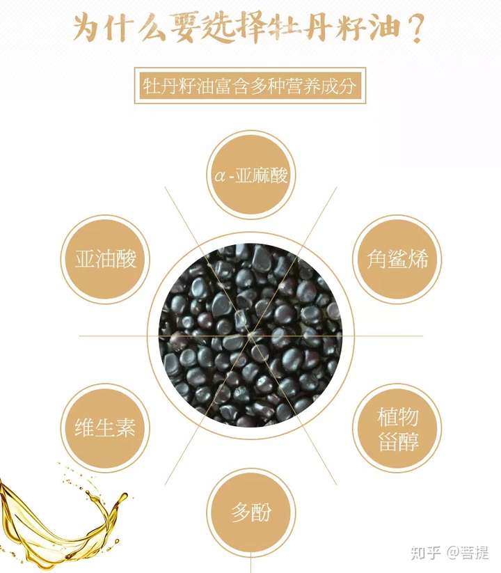 菩提 牡丹芍药行业新闻资讯 2人 赞同了该文章 趋势1行业过渡阶段一