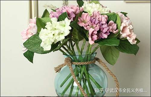 想让绣球鲜切花层次丰富一直美深水急救养护法要get 知乎