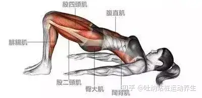 洗髓提肛术功练习之凯格尔运动